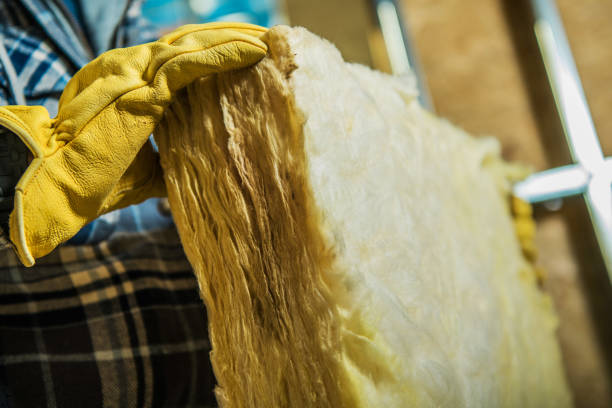 Best Residential Insulation in Princeton, IL