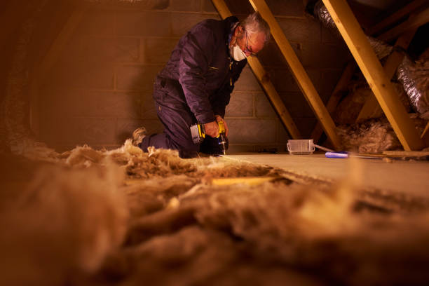 Professional Insulation Contractor in Princeton, IL